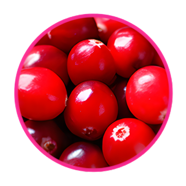 Rosehip + Cranberry